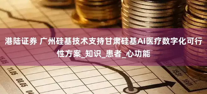 港陆证券 广州硅基技术支持甘肃硅基AI医疗数字化可行性方案_知识_患者_心功能