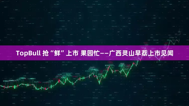 TopBull 抢“鲜”上市 果园忙——广西灵山早荔上市见闻