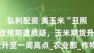 弘利配资 美玉米“丑照”疯传，丰收预期遭质疑，玉米期货升至一周高点_农业部_作物_美国政府