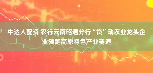 牛达人配资 农行云南昭通分行“贷”动农业龙头企业领跑高原特色产业赛道