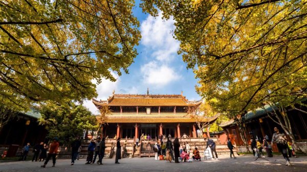 优选策略 杨红樱、敬一丹齐聚！成都这场文学盛宴等你来“打卡”